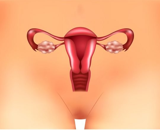 Câncer do colo do útero: a importância do rastreio regular