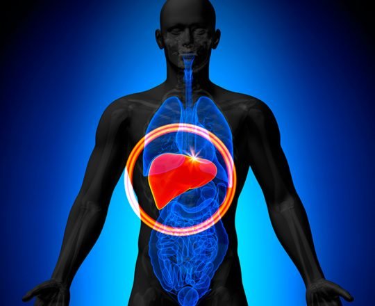 Função hepática: para que serve o fígado?
