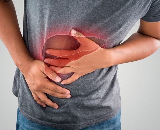 Os efeitos do álcool no fígado