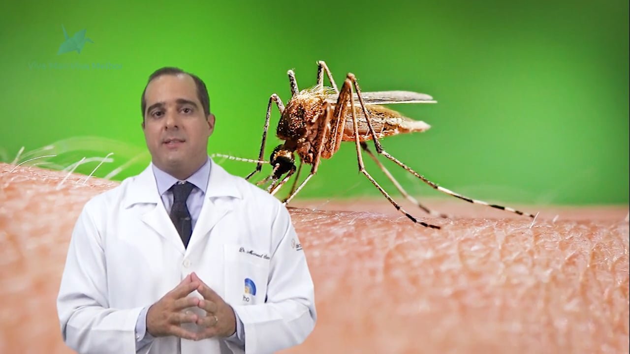 Como ocorre de transmissão do Zika vírus?