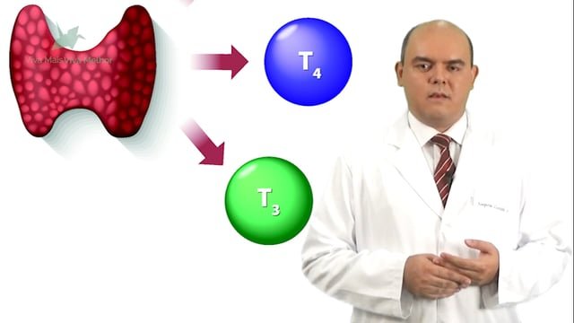 Quais são os principais problemas de funcionamento da tireoide?