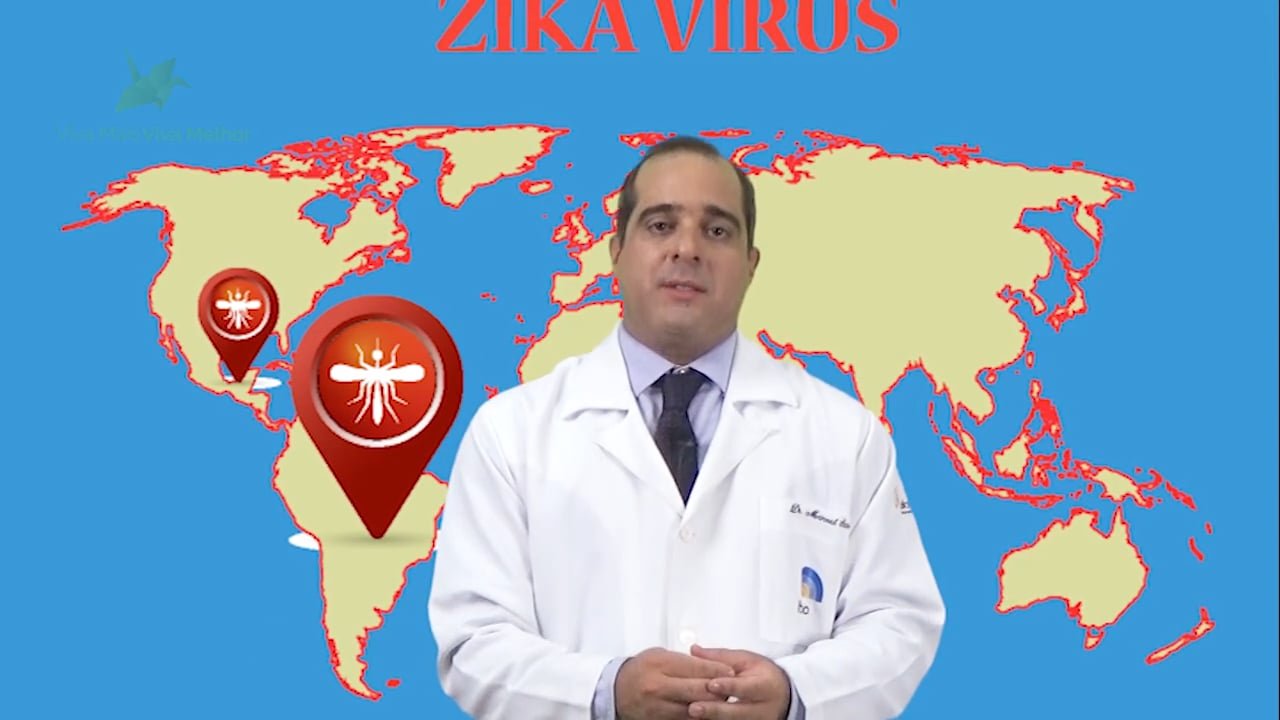 Qual a relação entre o Zika vírus e a microcefalia?