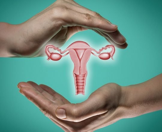 Miomas uterinos atingem cerca de dois milhões de mulheres no Brasil