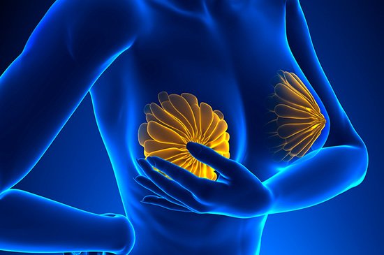 Microcalcificações mamárias representam perigo?